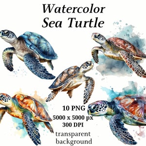 Tortue de mer Clipart, 10 PNG de haute qualité, Art de pépinière, Fabrication de cartes, Clip Art, Impression de tortue, Artisanat en papier numérique, Peinture à l’aquarelle #186