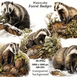 Forest Badger Clipart - 10 High Quality PNGs, Watercolor, Digital Planner, Junk Journals, Digital Download, Memory Books, Scrapbooking #1334