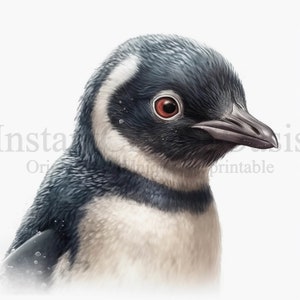 Lindo pingüino Clipart 10 JPG de alta calidad, arte de vivero, descarga digital instantánea, fabricación de tarjetas, imágenes prediseñadas de animales, arte de papel #447