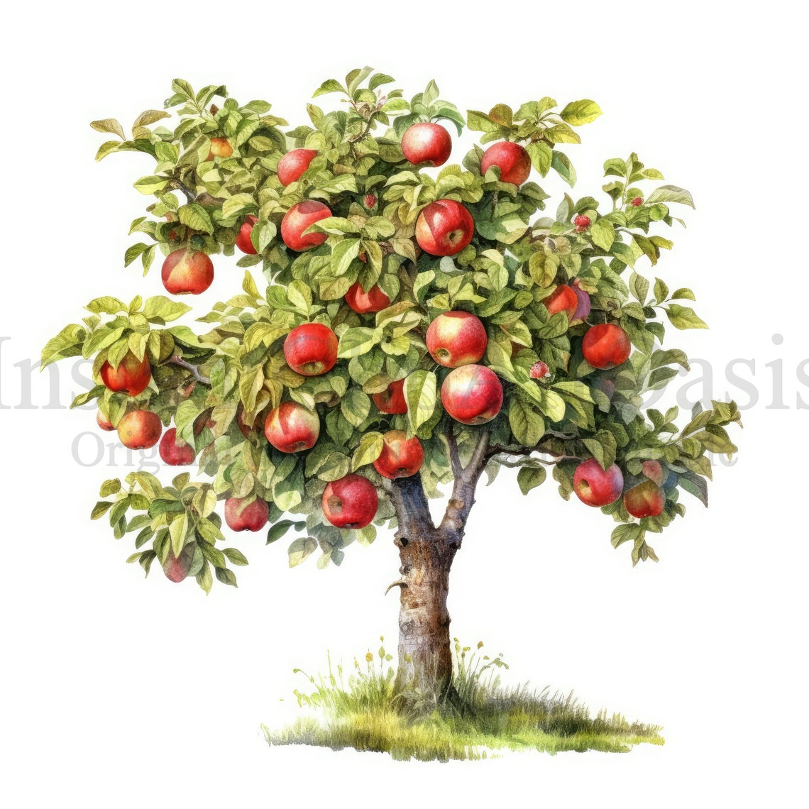 Apple Trees Clipart, 10 High Quality Jpgs, Botanical Art, Digital ...