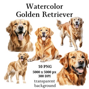 Golden Retriever Clipart, 10 hochwertige PNGs, digitaler Planer, Aquarell Golden Retriever, Kartenherstellung, digitaler Download #1058
