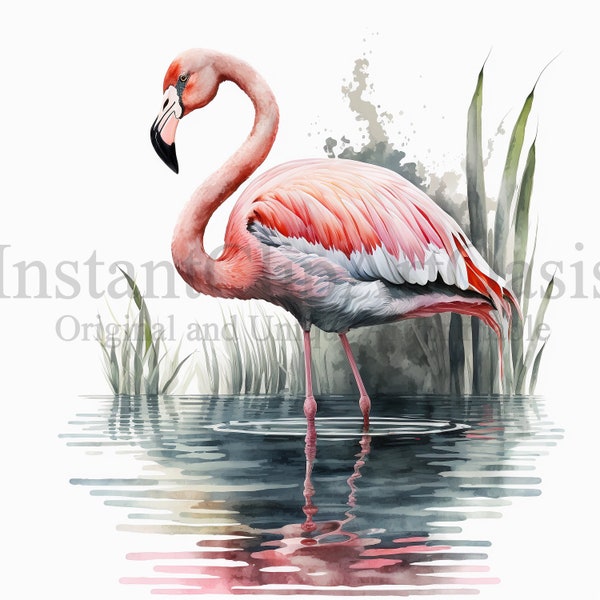 Flamingo Clipart, 10 High Quality JPGs, Nursery Art | Card Making, Clip Art, Flamingo Print, Digital Paper Craft, Watercolour Painting #347