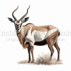 Eland Clipart, 10 High Quality JPGs, Digital Download, Card Making, Animal Clipart, Digital Paper Craft | #588