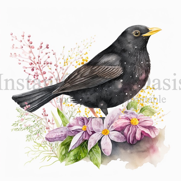 Amsel Clipart, 10 hochwertige JPGs, Kinderzimmer Kunst, sofortiger digitaler Download | Kartenherstellung, Tier Clipart, Digital Paper Craft | #310