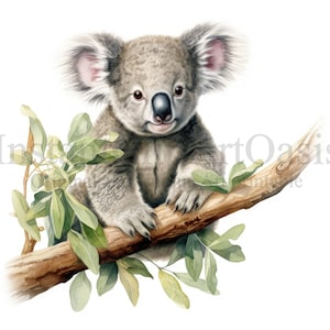 Watercolor Koala Clipart, 10 High Quality JPGs | Card Making, Koala Print, Digital Paper Craft, Watercolour Painting | #817