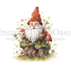Fancy Gnomes Clipart, 10 High Quality JPGs, Nursery Art, Digital Download | Card Making, Gnome Clipart, Digital Paper Craft | #798