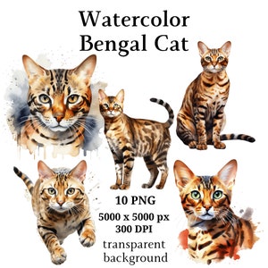 Bengal Katze Clipart, 10 hochwertige PNGs, Kinderzimmer Kunst, digitaler Download | Kartenherstellung, niedliche Katze Clipart, Digital Paper Craft | #1034