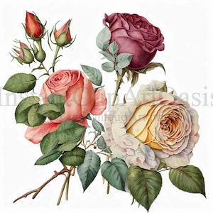 Roses Clipart, 10 High Quality JPGs, Botanical Art, Instant Digital Download | Card Making, Botanical Clipart, Digital Paper Craft | #267