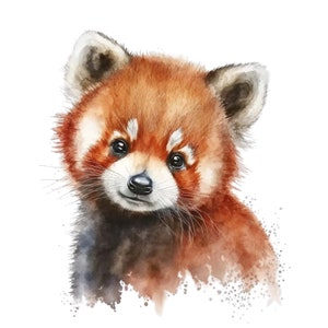 Baby Red Panda Clipart, 10 hoogwaardige PNG's, kinderkamerkunst, digitale download, kaart maken, schattige dieren clipart, digitale papierambachten | #37