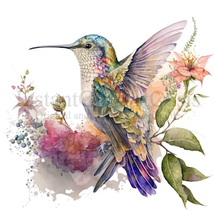 Hummingbird Clipart | Set 2 | 10 High Quality PNGs, Nursery Art, Instant Digital Download | Card Making, Animal Clipart, Paper Craft | #367