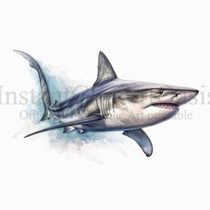 Hai Clipart, 6 Hochwertige JPGs, Kinderzimmer Kunst | Kartenherstellung, Clip Art, Hai Print, digitales Papier Handwerk, Aquarell #602