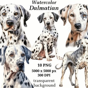 Dalmatian Clipart, 10 High Quality PNGs, Nursery, Digital Planner, Watercolor Dog, Card Making, Journaling, Digital Download #1275