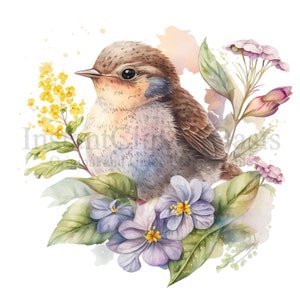 Imágenes prediseñadas de pájaros lindos, 10 PNG de alta calidad, arte infantil, descarga digital instantánea / creación de tarjetas, imágenes prediseñadas de animales, artesanía de papel digital / #96