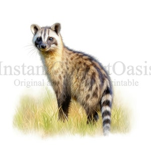 African Civet Clipart, 8 High Quality JPGs, Instant Digital Download | Card Making, Civet Clipart, Digital Paper Craft | #786