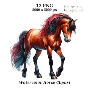 Imágenes prediseñadas de caballo de acuarela, 12 PNG de alta calidad, arte infantil, descarga digital instantánea / imagen de caballo, imágenes prediseñadas de animales lindos / #1487