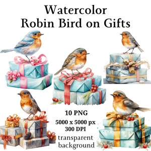 Rotkehlchen Vogel auf Geschenke Clipart, 10 hochwertige PNGs, Weihnachtscliparts, Kartenherstellung, Journaling, digitaler Download, Erinnerungsbücher | #1078