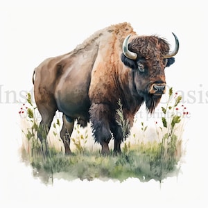 Buffalo Clipart, 10 High Quality JPGs, Digital Download, Card Making, Animal Clipart, Digital Paper Craft | #247