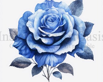 Blue Rose Clipart, 10 High Quality Jpgs, Botanical Art, Instant