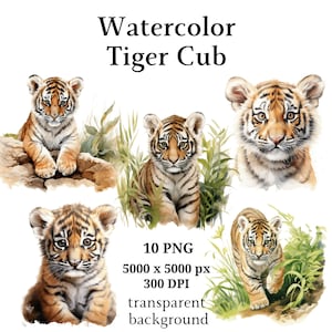 Tiger Cub Clipart, 10 High Quality PNGs, Digital Planners, Junk Journals, Digital Download, Memory Books, Scrapbooks | #1070