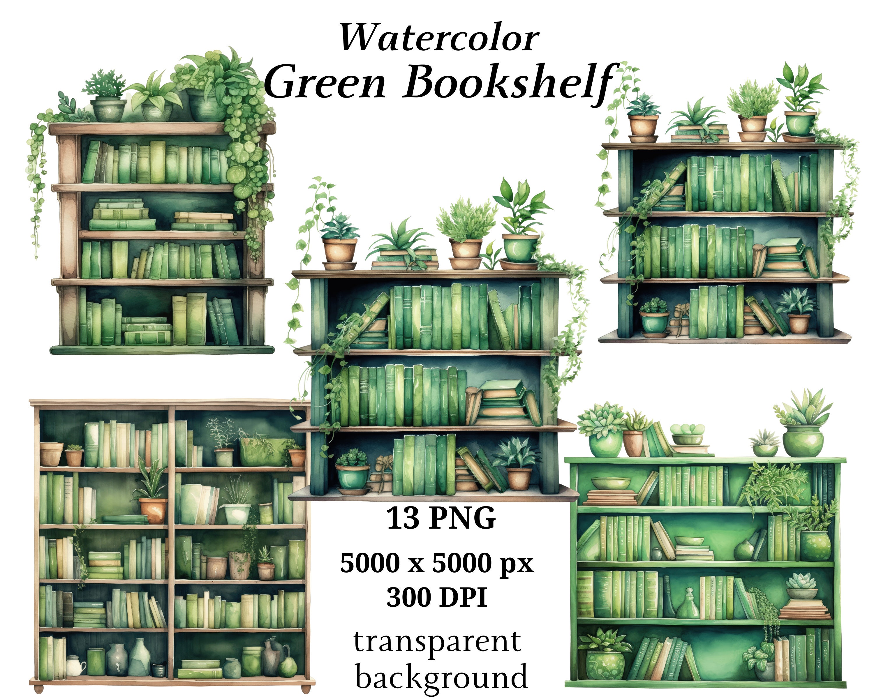 Green bookshelf deals