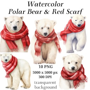 シロクマと赤いスカーフのクリップアート - 10 個の高品質 PNG、水彩クマ、カード作成、デジタル ペーパー クラフト、印刷可能なグラフィック #1178