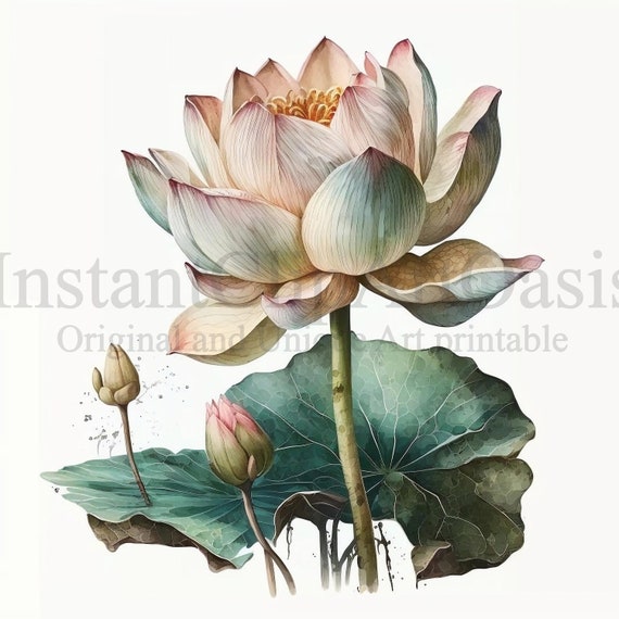 Lotus Flower Clipart, 10 High Quality JPGs, Botanical Art, Instant Digital Download | Card Making, Digital Paper Craft | #190