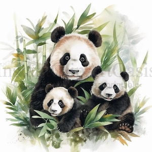 Panda Family Clipart, 10 JPG's van hoge kwaliteit, Instant Digital Download | Kaarten maken, schattige dieren clipart, digitale papier ambachtelijke | #532
