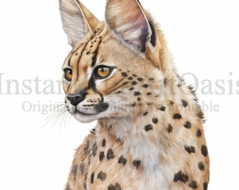 Imágenes Prediseñadas de serval, 8 JPG de alta calidad, arte infantil, descarga digital instantánea / fabricación de tarjetas, imágenes prediseñadas de animales lindos, arte de papel digital / #793