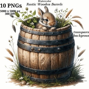 Op de afbeelding: Een aquarel illustratie van een bruin konijn dat uit een houten vat met metalen banden kijkt. Het vat is omgeven door groen gras en wilde bloemen.