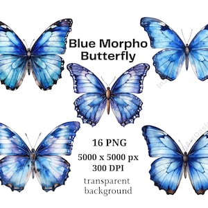 Clipart de borboleta Morpho azul, 16 PNGs de alta qualidade, arte de berçário | Confecção de cartões, clip art, artesanato em papel digital, aquarela de borboleta | #1037