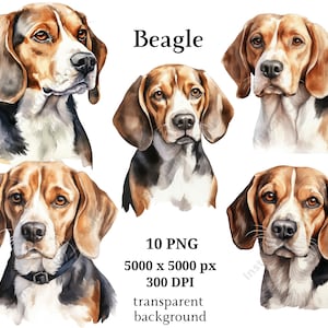 Beagle Clipart, 10 hoogwaardige PNG's, kwekerij, digitale planner, aquarelhond, kaart maken, journaling, digitale download #1007