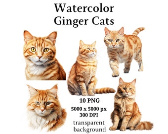 Ginger Cats Clipart, 10 High Quality PNGs, Nursery Art, Digital Download | Card Making, Cute Cat Clipart, Digital Paper Craft | #1089