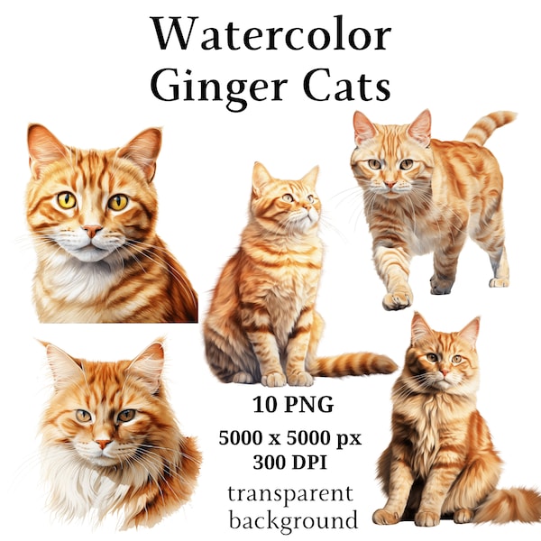 Ginger Cats Clipart, 10 High Quality PNGs, Nursery Art, Digital Download | Card Making, Cute Cat Clipart, Digital Paper Craft | #1089