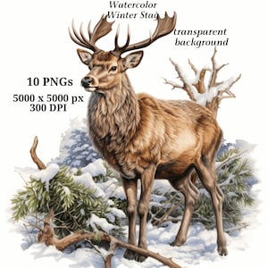 Imágenes prediseñadas de ciervo de invierno, 10 PNG de alta calidad, descarga digital, fabricación de tarjetas, imágenes prediseñadas de animales, artesanía de papel digital / #1387