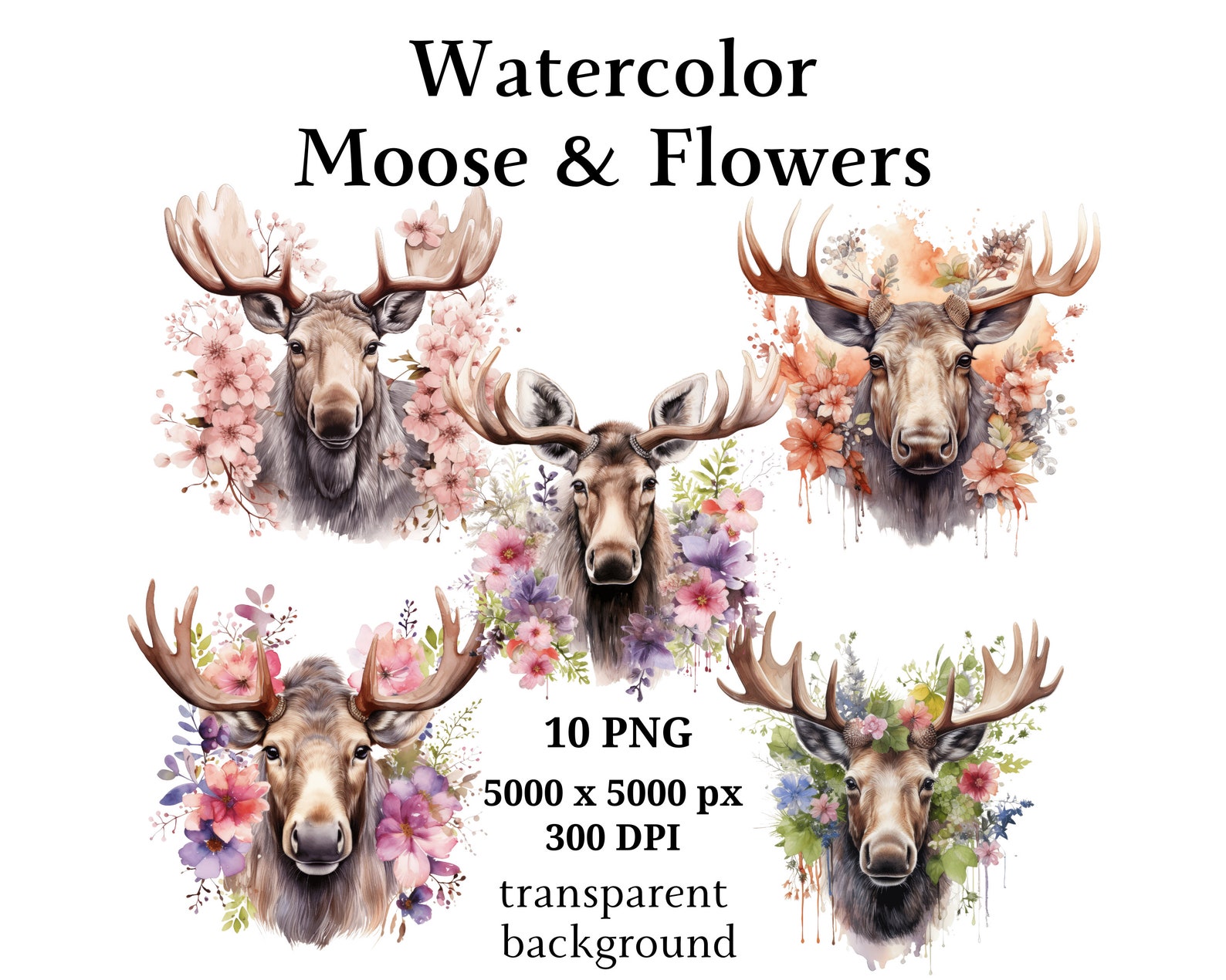 Moose and Flowers Clipart, 10 High Quality Pngs, Nursery Art, Digital ...