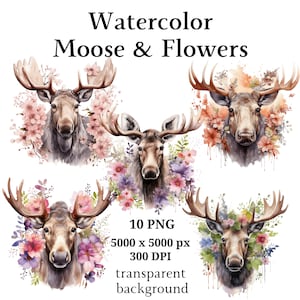 Orignal et fleurs Clipart, 10 PNG de haute qualité, pépinière Art, planificateur numérique, aquarelle, fabrication de cartes, journalisation, téléchargement numérique | #1038