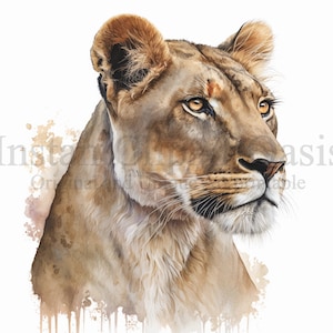 Proud Lioness Clipart, 10 High Quality JPGs, Nursery Art, Instant Digital Download | Card Making, Animal Clipart, Digital Paper Craft | #492