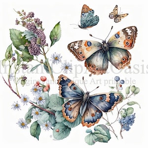 Blumen Schmetterling Clipart, 10 Hochwertige JPGs, Kinderzimmer Kunst | Kartenherstellung, ClipArt, digitales Papier Handwerk, Schmetterling Aquarell | #255