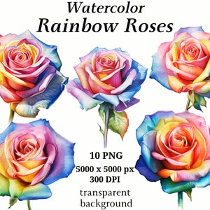 Rainbow Roses Clipart - 10 PNG's van hoge kwaliteit, botanische clipart, digitale planners, ongewenste tijdschriften, digitale download, geheugenboeken | #1245