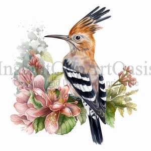 Upupa Clipart, 10 JPG di alta qualità, Nursery Art, Download digitale istantaneo / Creazione di carte, Clipart animali, Mestiere di carta digitale #394