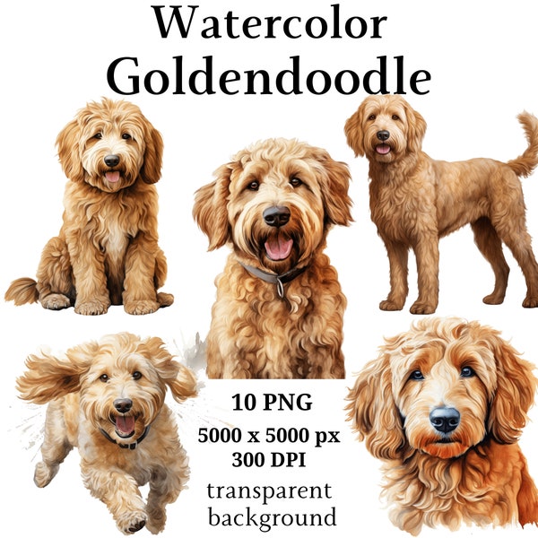 Goldendoodle Clipart - 10 High Quality PNGs, Digital Planner, Watercolor Goldendoodle, Junk Journals, Digital Download, Scrapbooking #1137