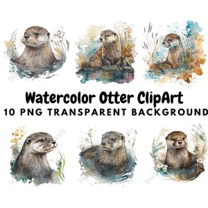 Loutre Clipart, 10 PNG de haute qualité fond transparent | Fabrication de cartes, Impression de loutre, Artisanat en papier numérique, Peinture à l'aquarelle | #207