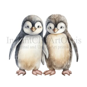 Penguin Friends Clipart, 10 High Quality Pngs, Nursery Art | Card ...