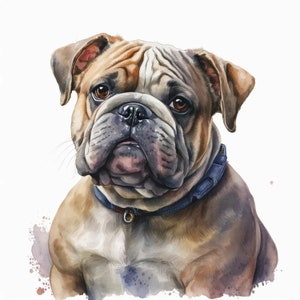 Bulldog Clipart, 10 High Quality JPGs, Nursery Art, Digital Download, Card Making, Cute Animal Clipart, Paper Craft | #130