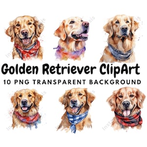 Golden Retriever con Bandana Clipart, 10 PNG di alta qualità, Download digitale / Creazione di cartoline, Clipart cane carino, Mestiere con carta digitale / #540