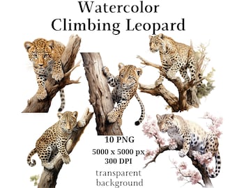 Climbing Leopard Clipart - 10 High Quality PNGs, Digital Planners, Junk Journals, Digital Download, Memory Books, Scrapbooking | #1164