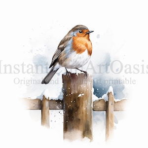 Winter Robin Clipart, 10 JPG di alta qualità, Arte della scuola materna, Download digitale istantaneo / Creazione di carte, Clipart di animali, Mestiere di carta digitale / #461
