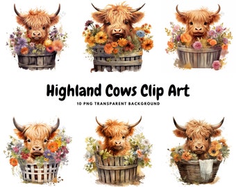 10 High Quality PNGs - Highland Cows in Flower Basket Clipart, Digital Download, Card Making, Animal Clipart, Digital Paper Craft | #536