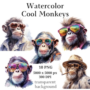 May include: Four watercolor illustrations of monkeys wearing sunglasses and hats. The monkeys are all looking at the camera. The background is transparent.