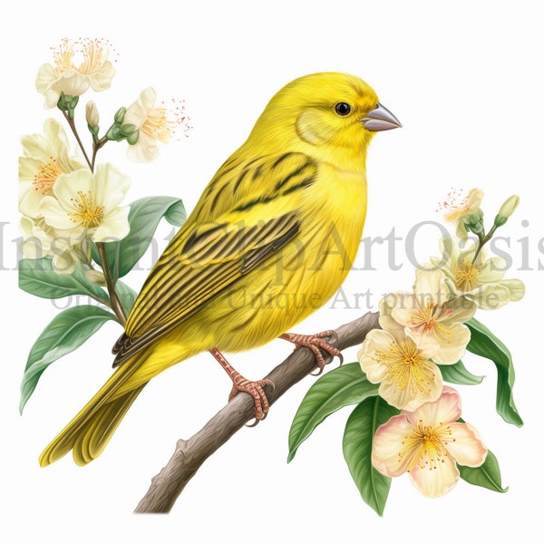 Canary Bird Clipart, 10 High Quality JPGs, Nursery Art, Instant Digital Download | Card Making, Bird Clipart, Digital Paper Craft | #334